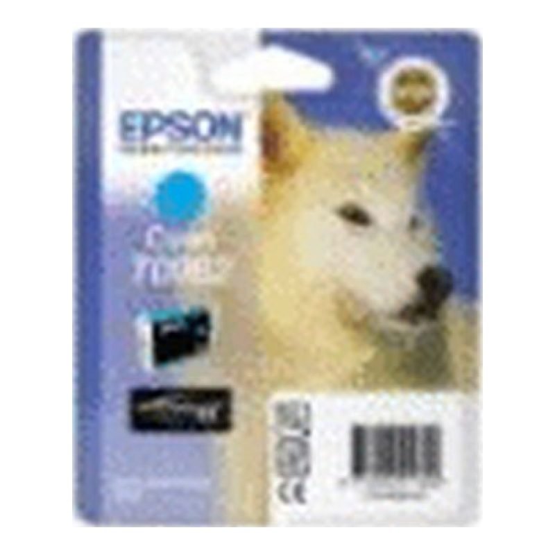 Epson T096240 C13T09624020 Mavi Mürekkep Kartuşu